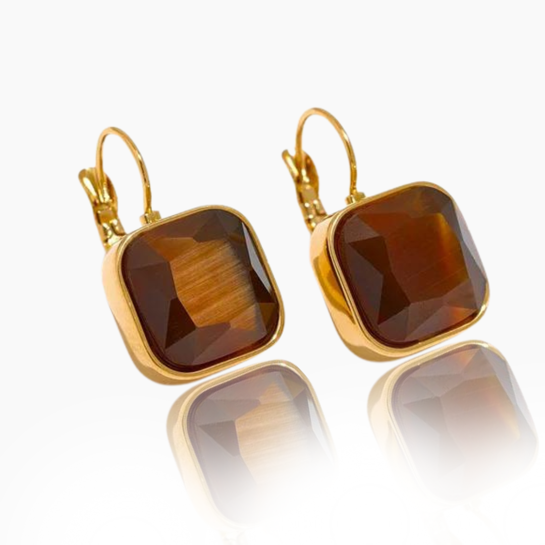 Abundance - 18k Earrings with Tiger's Eye