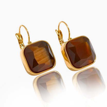 Abundance - 18k Earrings with Tiger's Eye